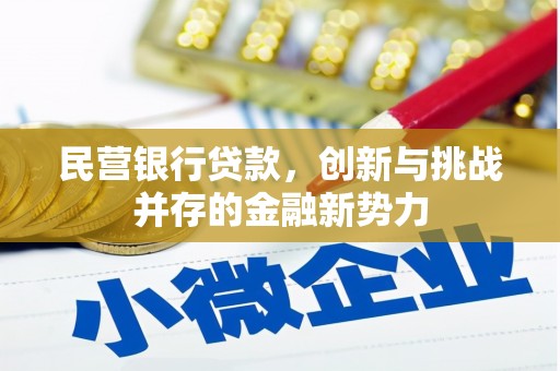 岱岳民营银行贷款，创新与挑战并存的金融新势力