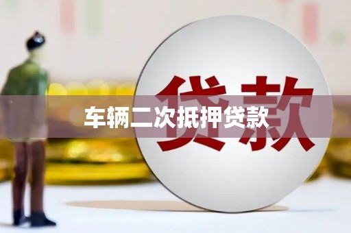 全南车辆二次抵押贷款