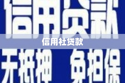沙湾信用社贷款