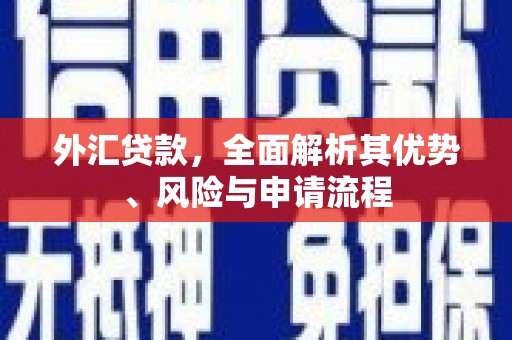 抚顺外汇贷款，全面解析其优势、风险与申请流程