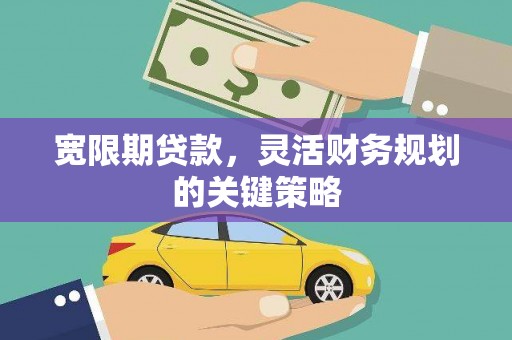 岱山宽限期贷款，灵活财务规划的关键策略