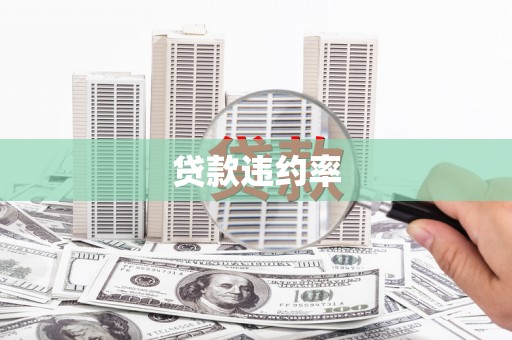 商州贷款违约率