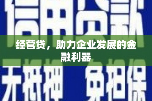 陆川经营贷，助力企业发展的金融利器