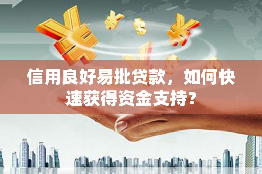 岳塘信用良好易批贷款，如何快速获得资金支持？