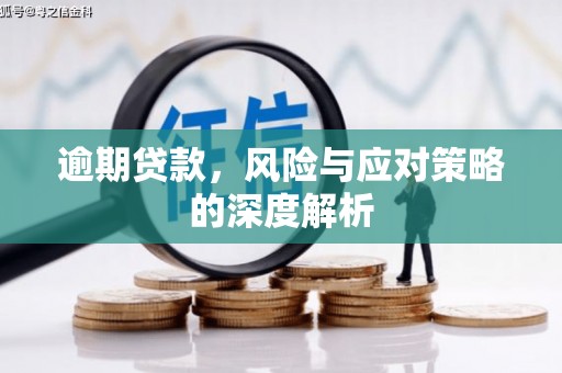 万里逾期贷款，风险与应对策略的深度解析