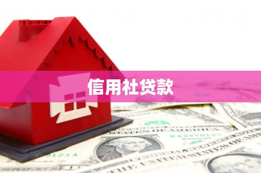 丽水信用社贷款