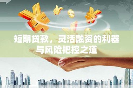 云龙短期贷款，灵活融资的利器与风险把控之道
