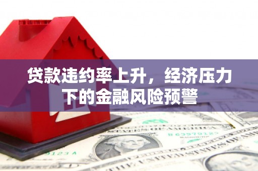秦淮贷款违约率上升，经济压力下的金融风险预警