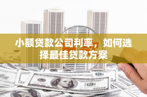 麻山小额贷款公司利率，如何选择最佳贷款方案