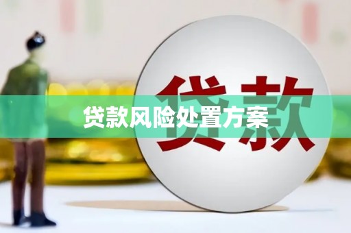 灵台贷款风险处置方案