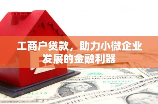平舆工商户贷款，助力小微企业发展的金融利器