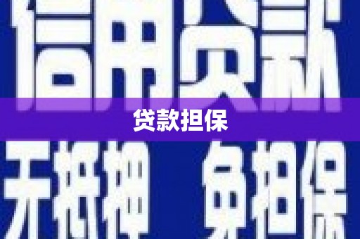 民和贷款担保