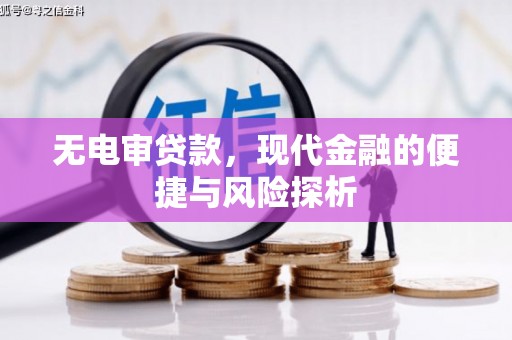 贺州无电审贷款，现代金融的便捷与风险探析