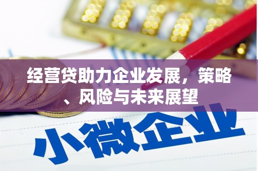 南宫经营贷助力企业发展，策略、风险与未来展望