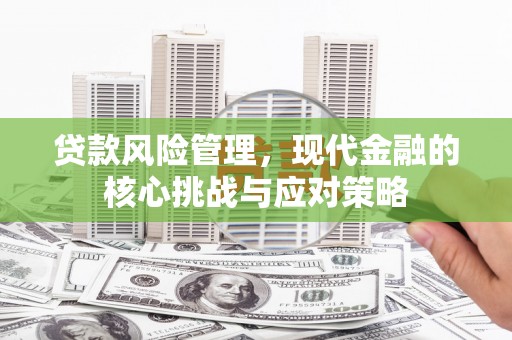 顺城贷款风险管理，现代金融的核心挑战与应对策略