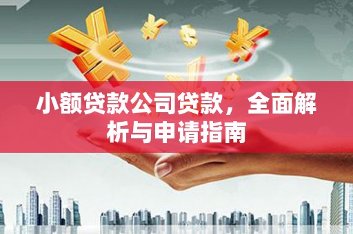 西螺小额贷款公司贷款，全面解析与申请指南