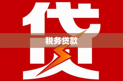 湖北税务贷款