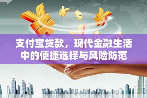 赤城支付宝贷款，现代金融生活中的便捷选择与风险防范