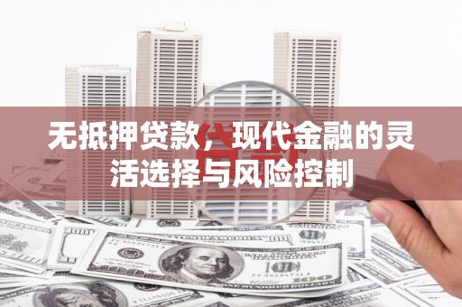 大甲无抵押贷款，现代金融的灵活选择与风险控制