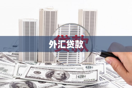 南投外汇贷款