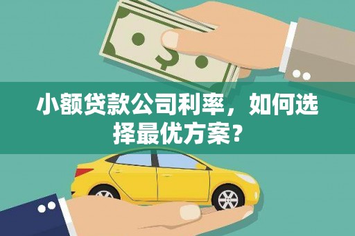 沙田小额贷款公司利率，如何选择最优方案？