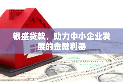 嘉黎银盛贷款，助力中小企业发展的金融利器