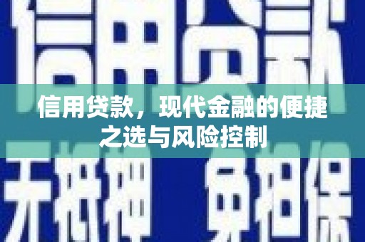 苑里信用贷款，现代金融的便捷之选与风险控制
