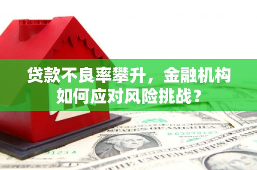 文水贷款不良率攀升，金融机构如何应对风险挑战？