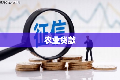 黄骅农业贷款