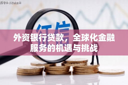 虞城外资银行贷款，全球化金融服务的机遇与挑战