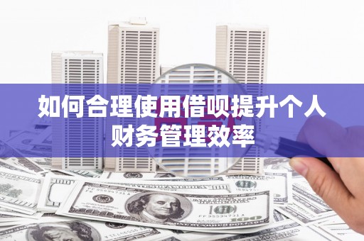 山上如何合理使用借呗提升个人财务管理效率