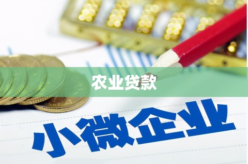 莱城农业贷款