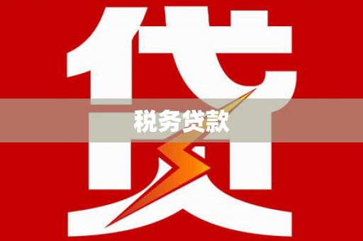 滁州税务贷款