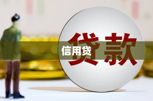 新河信用贷