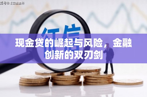 顺庆现金贷的崛起与风险，金融创新的双刃剑