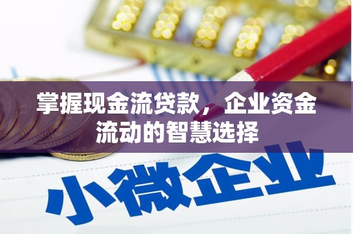 盐田掌握现金流贷款，企业资金流动的智慧选择