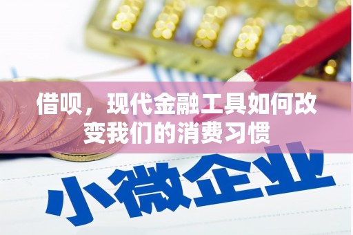 海东借呗，现代金融工具如何改变我们的消费习惯