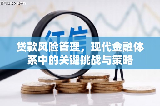 启东贷款风险管理，现代金融体系中的关键挑战与策略