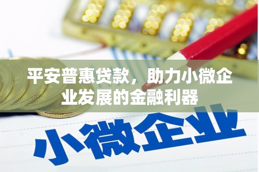 肃北平安普惠贷款，助力小微企业发展的金融利器