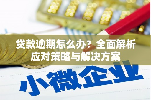 嘉定贷款逾期怎么办？全面解析应对策略与解决方案