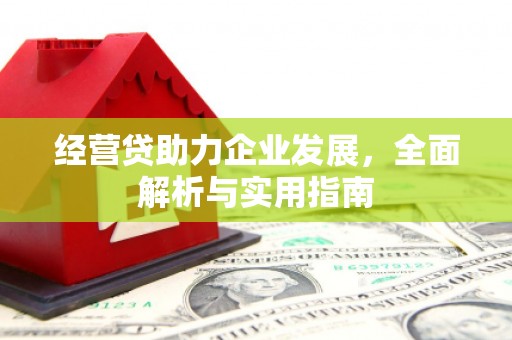 东坡经营贷助力企业发展，全面解析与实用指南