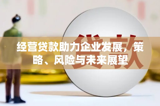 陇南经营贷款助力企业发展，策略、风险与未来展望