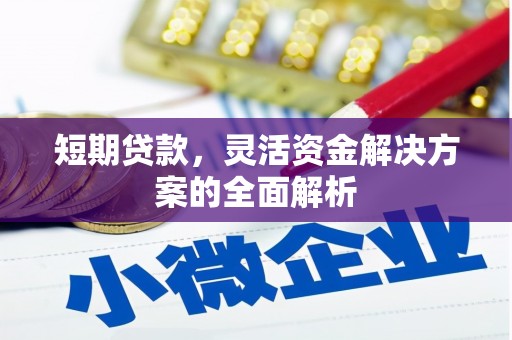 惠东短期贷款，灵活资金解决方案的全面解析