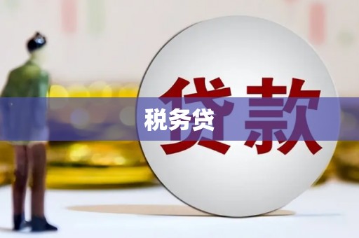 奎文税务贷