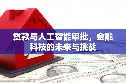 类乌齐贷款与人工智能审批，金融科技的未来与挑战