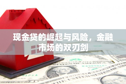 寿丰现金贷的崛起与风险，金融市场的双刃剑
