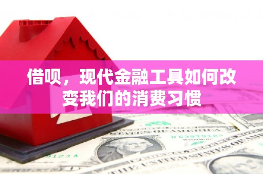 坡头借呗，现代金融工具如何改变我们的消费习惯