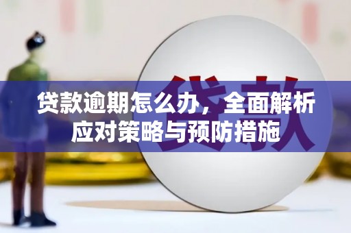 分宜贷款逾期怎么办，全面解析应对策略与预防措施