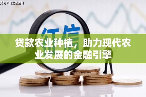 竹崎贷款农业种植，助力现代农业发展的金融引擎
