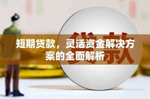 莱城短期贷款，灵活资金解决方案的全面解析